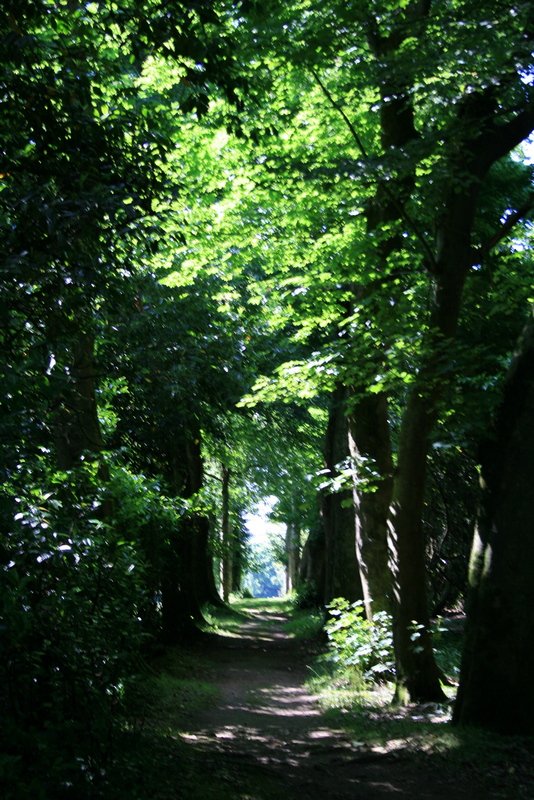Cornouailles 2008