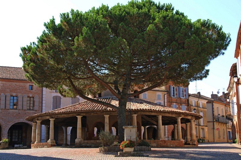 Bastides 2022