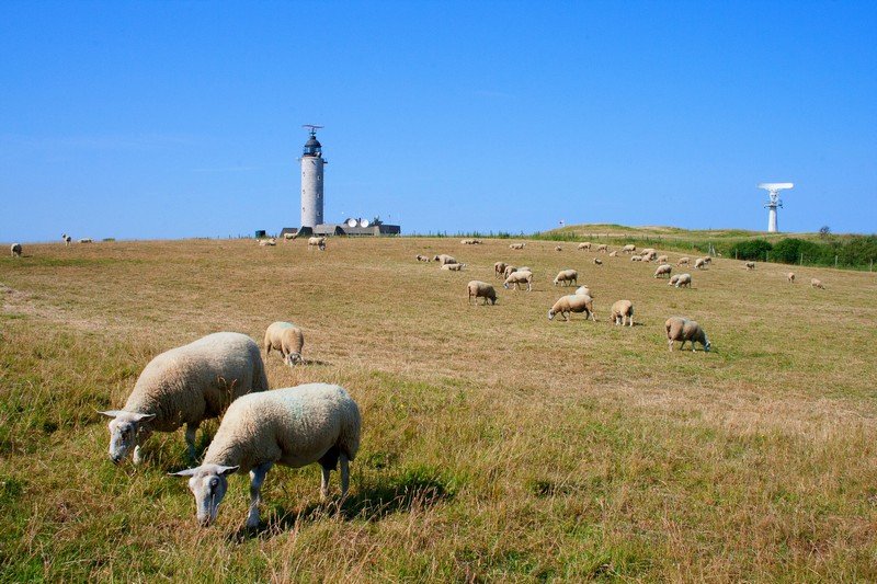 Picardie 2014