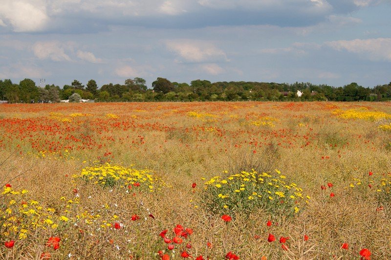 Picardie 2014