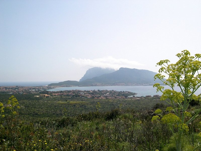 Sardaigne 2006