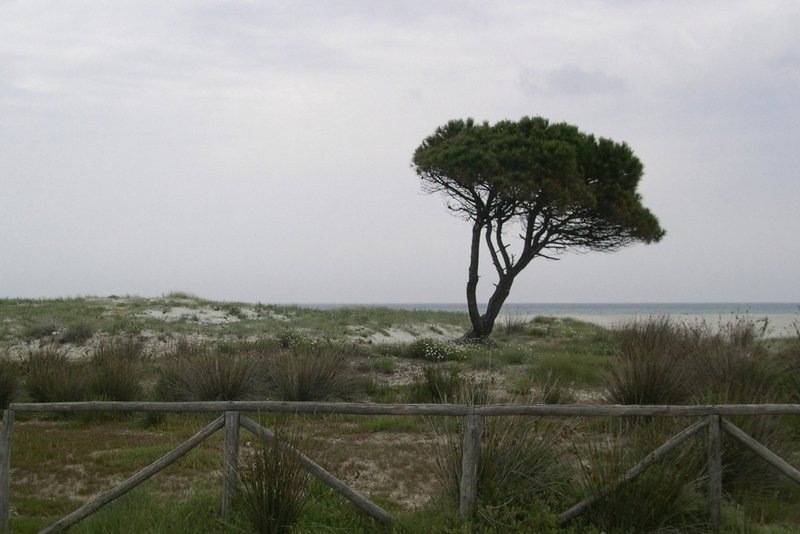 Sardaigne 2006