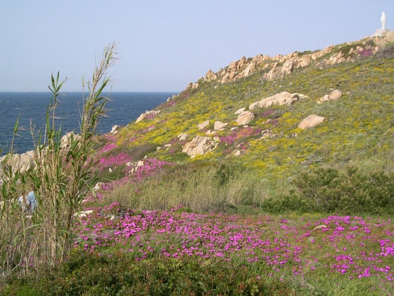 Sardaigne 2006
