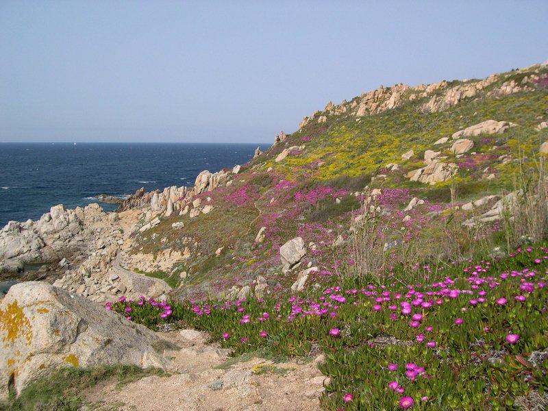 Sardaigne 2006