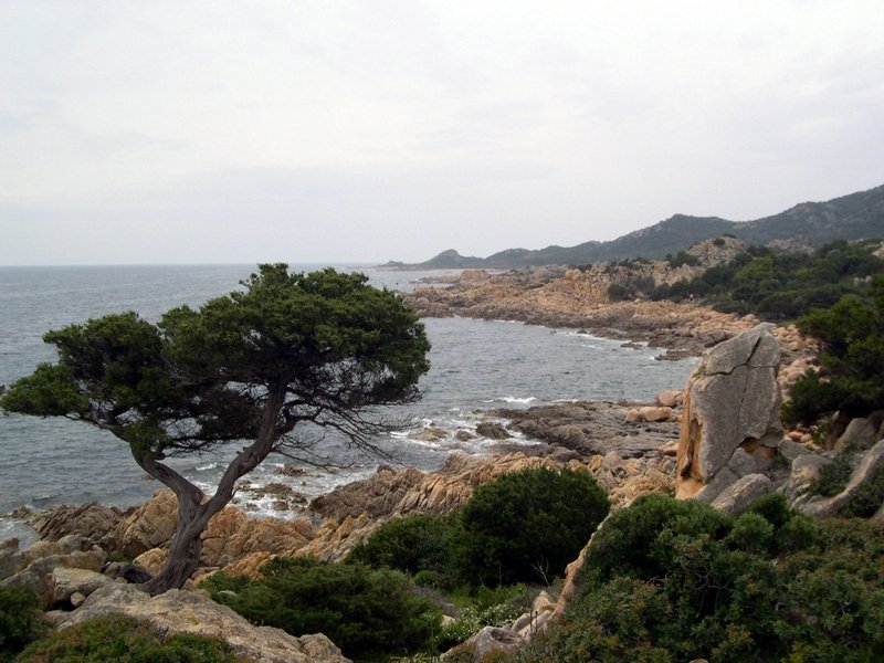 Sardaigne 2006