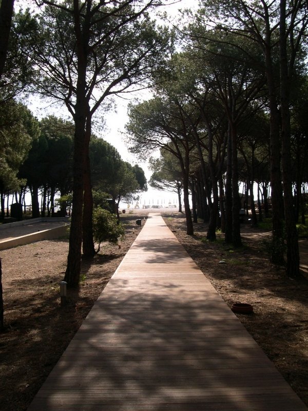 Sardaigne 2006