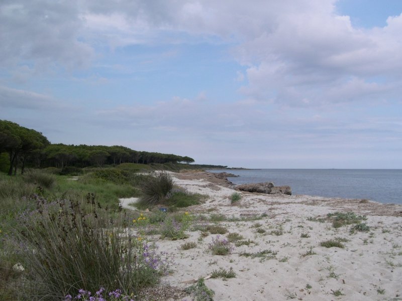 Sardaigne 2006