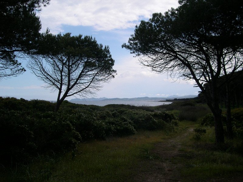 Sardaigne 2006