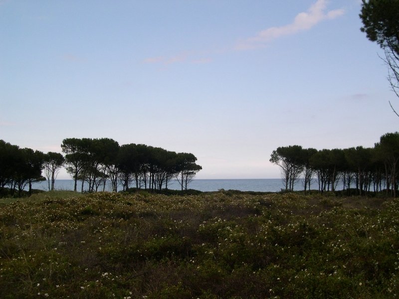 Sardaigne 2006
