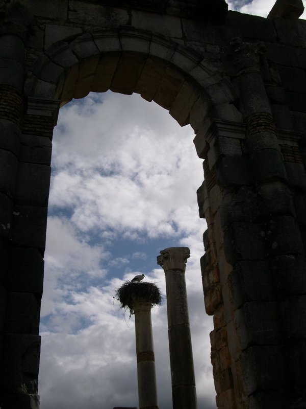 Maroc 2007