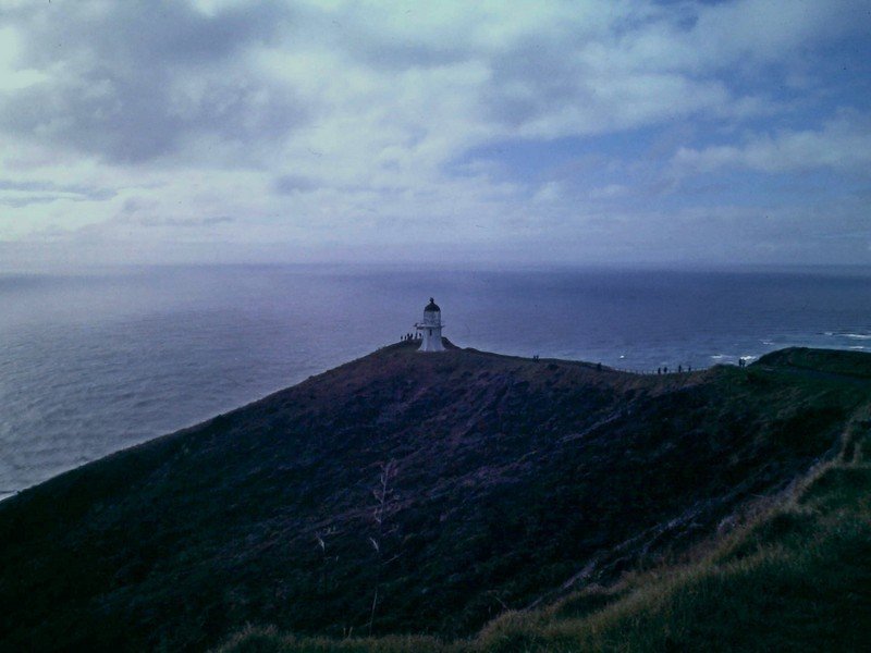 Cap Reinga