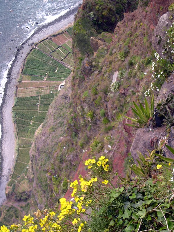 Madère 2005-