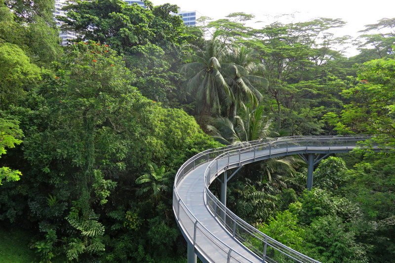 Singapour 2020-2017