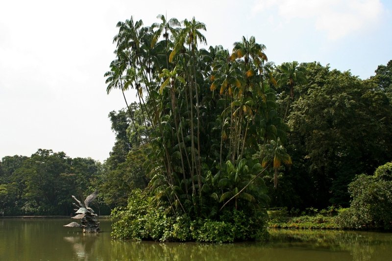 Singapour 2020-2017