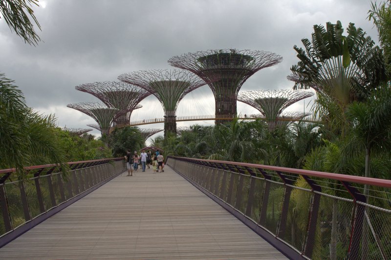 Singapour 2020-2017