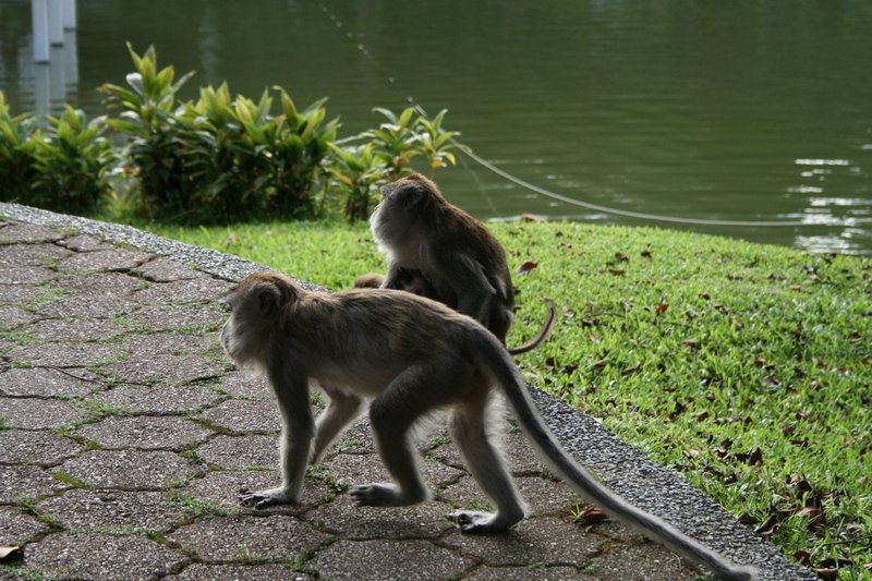 Singapour 2020-2017