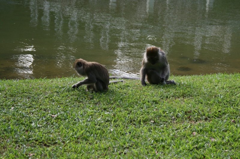 Singapour 2020-2017