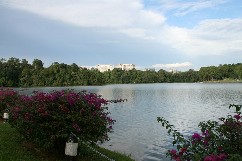 Singapour 2020-2017