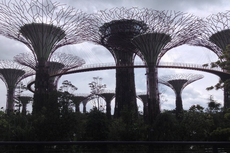 Singapour 2020-2017