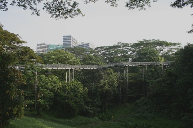 Singapour 2020-2017