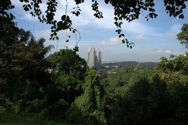 Singapour 2020-2017