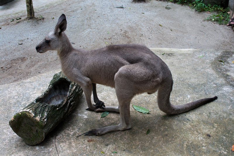 Singapour 2020-2017