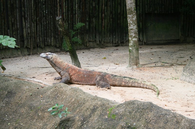 Singapour 2020-2017